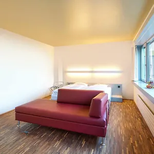 *** Hotel Dasbreitehotel Am Rhein Zwitserland